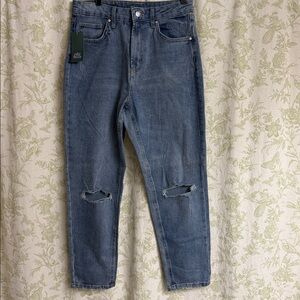Wild Fable Jeans